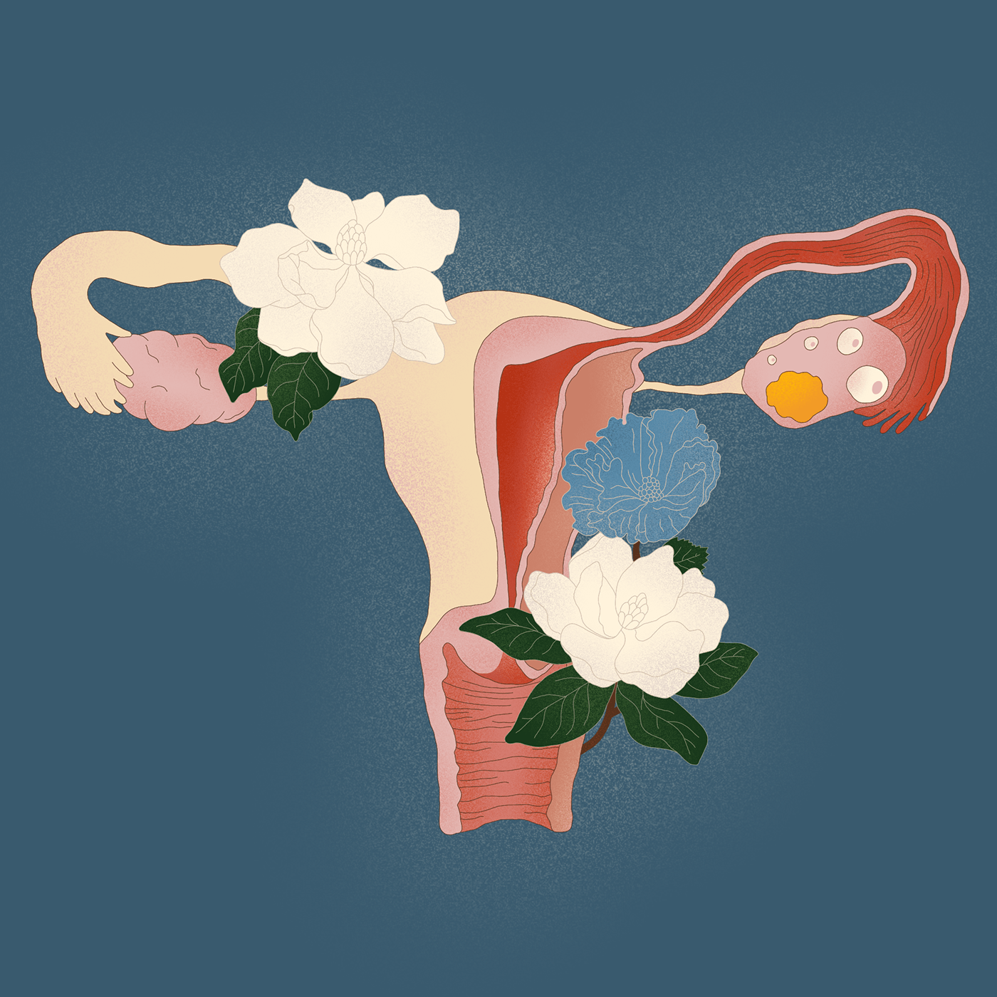 baby birth Cell Digital Art  Flowers ILLUSTRATION  life uterus