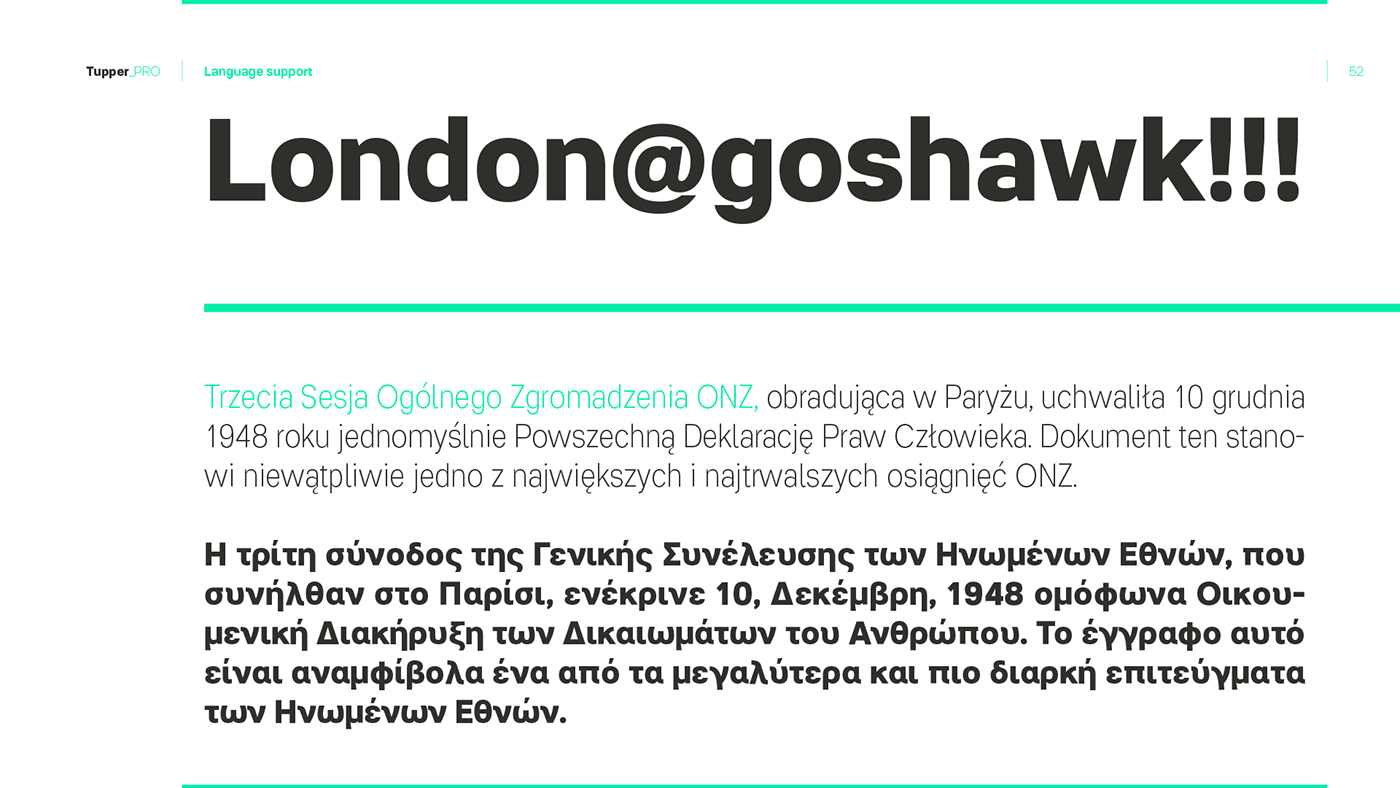 RR Donnelley Tupper_PRO helvetica MACHALSKI custom font family brand typeface cyrylic hebrew Latin greek multiscript sans tupperware borutta