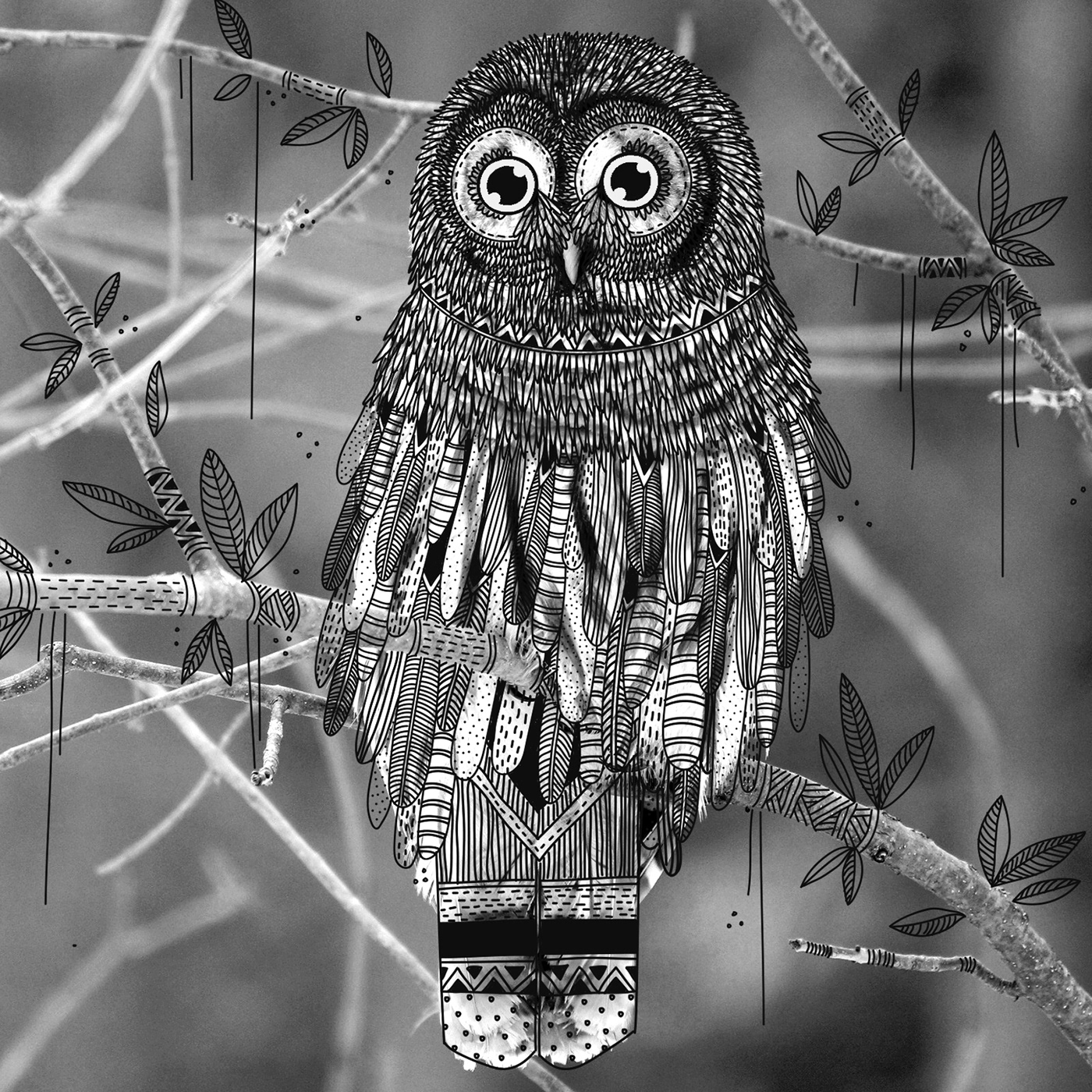 animal bird black and white doodles doodling forest illustrations Nature tribal zentangle