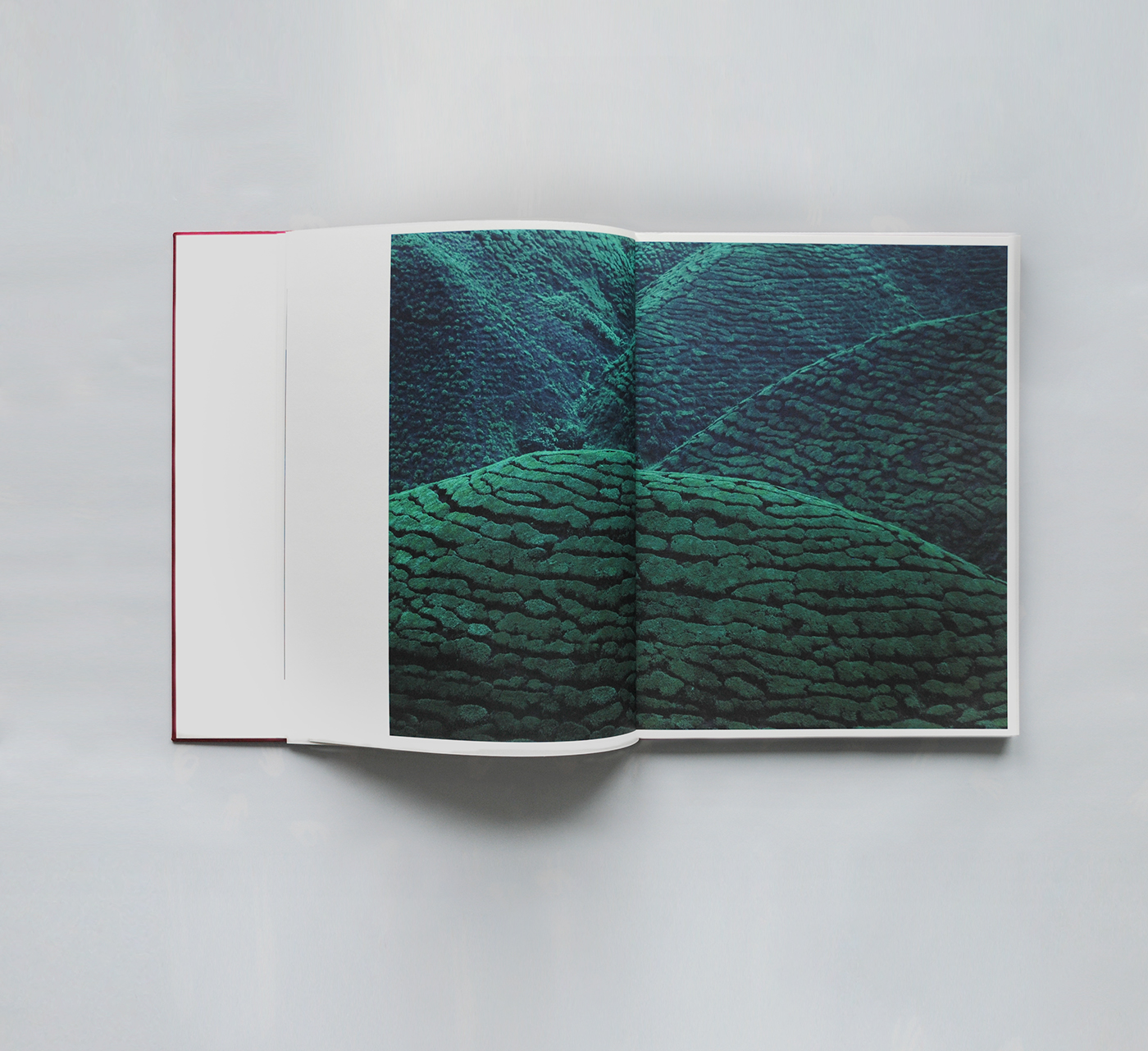 editorial design  book fashion photography graphicdesign ArtDirection asia