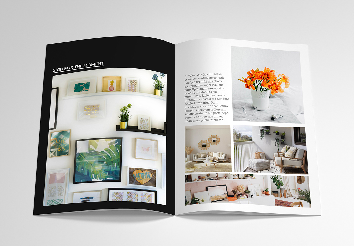 3D architecture decoration furniture home decor InDesign Interior interior design  Magazine design