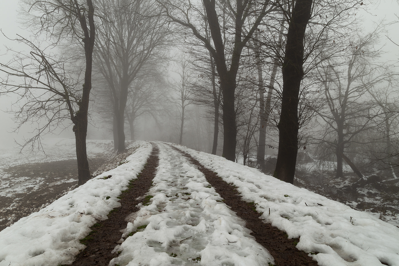 snowy country road toward the fog
