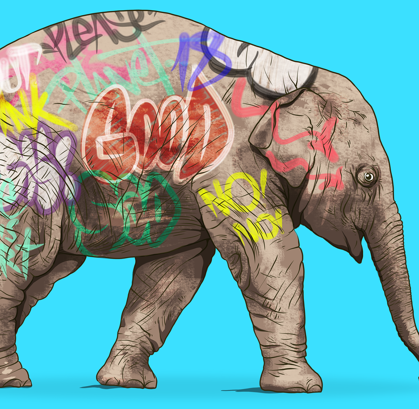 Nature elephant elefante Graffiti streetart ilustracion ILLUSTRATION  photoshop