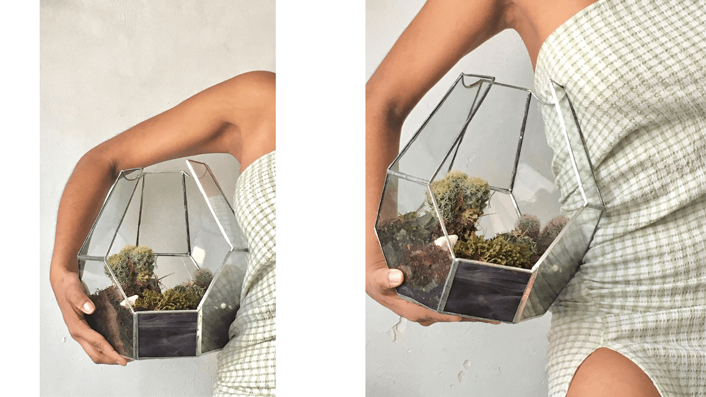 handmade product design  plants Succulents Photography  lightroom model portrait prduct photography terrariums