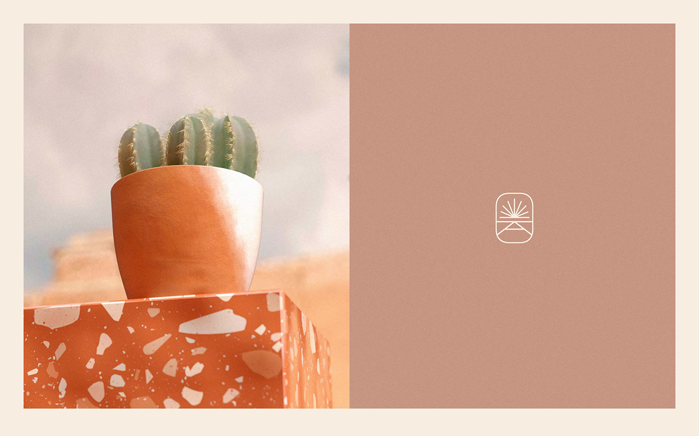 branding  cactus design identity mexico Packaging Pots soil stationary Succulent
