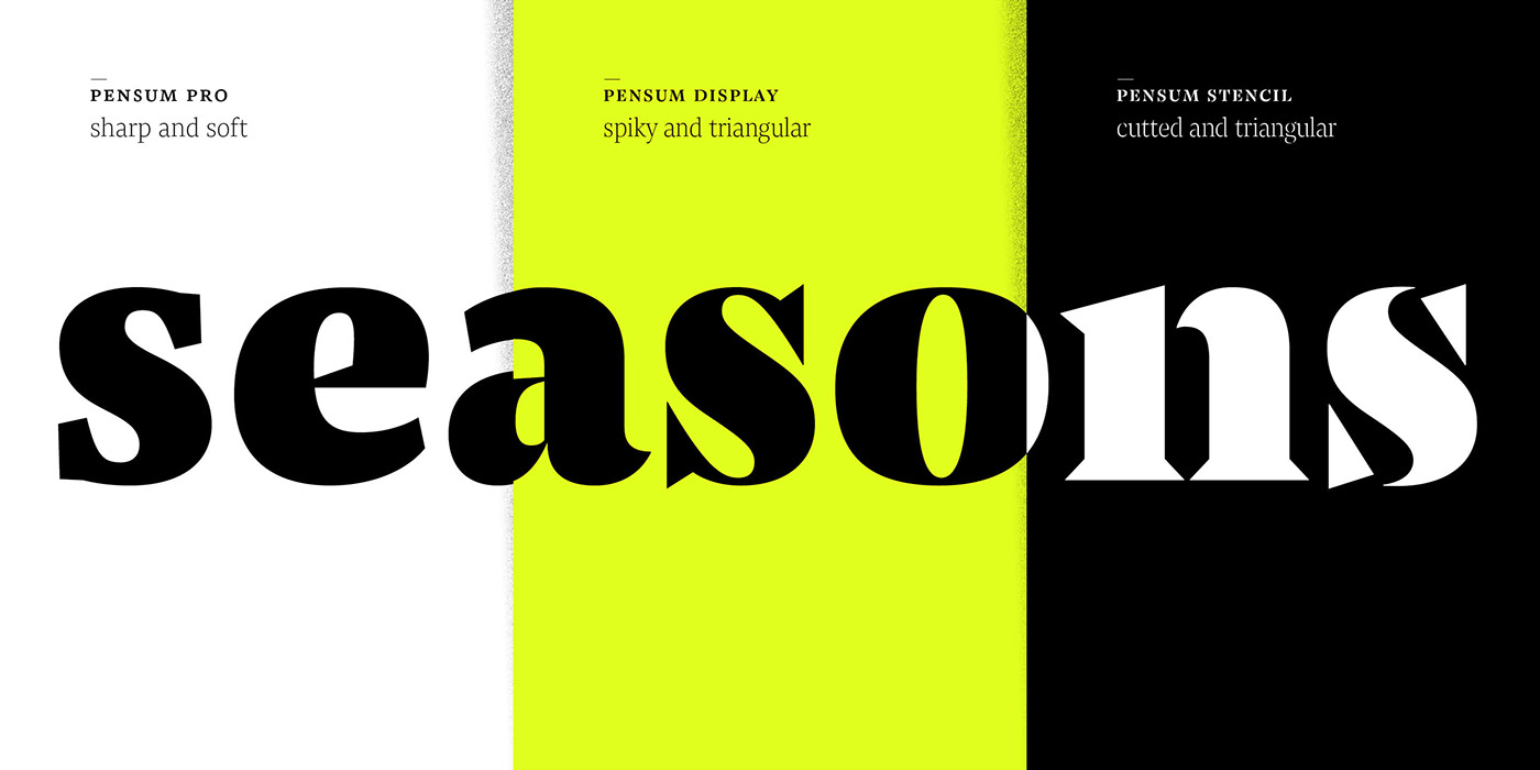 brand identity Typeface typography  