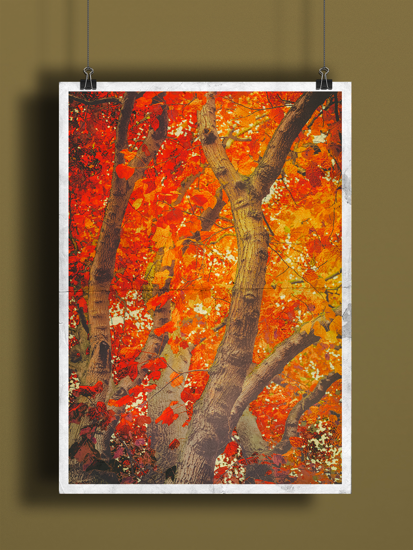 gold golden autumn maple acer rose trees leaf leaves texture textureblend