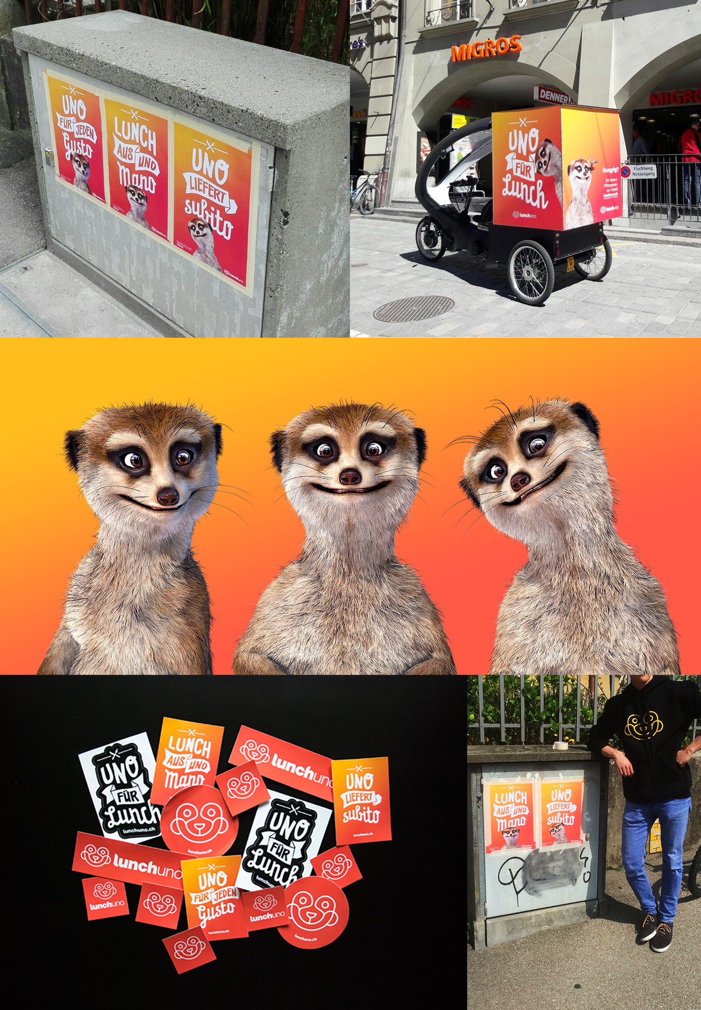 logo lunch eat meerkat campaign Advertising  poster flyer icons bern