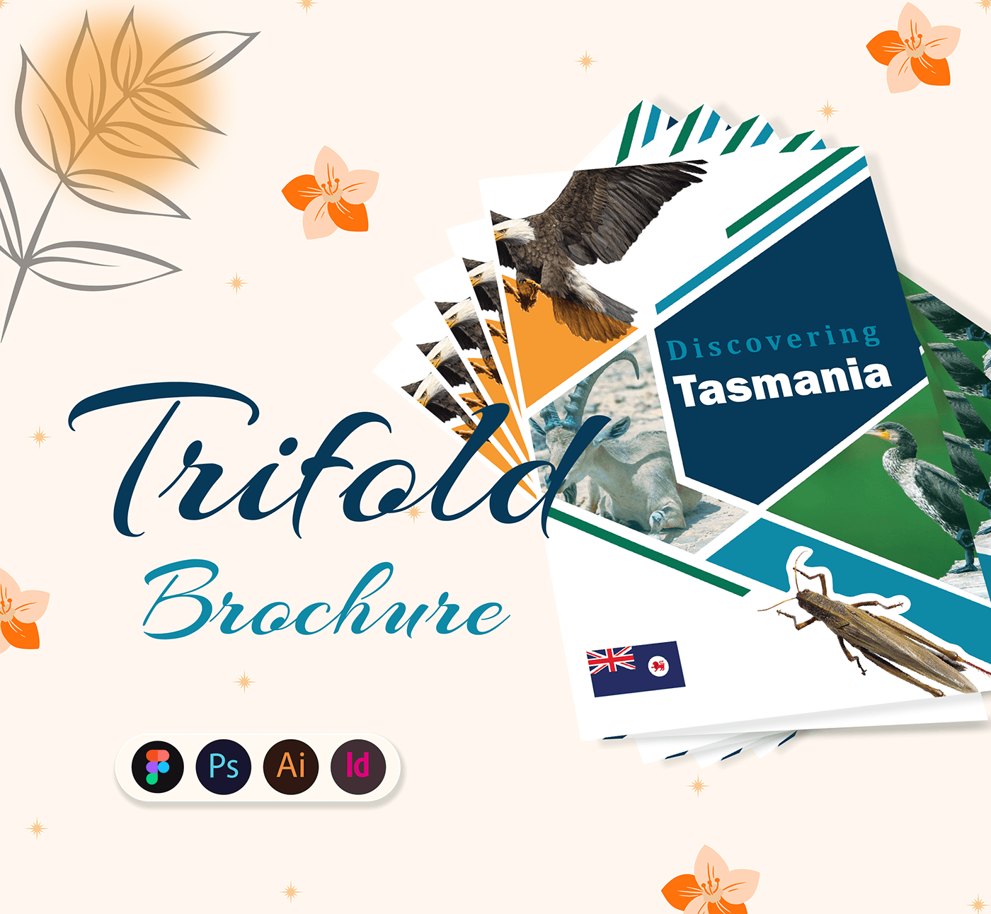 tourism InDesign Illustrator Figma brochure trifold Travel design inspiration photoshop