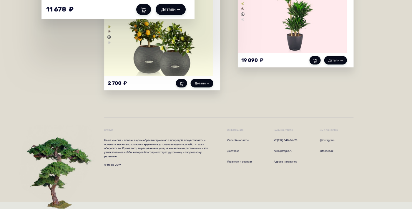 Flowers store e-comerce ux UI animation  interface design experience design light color