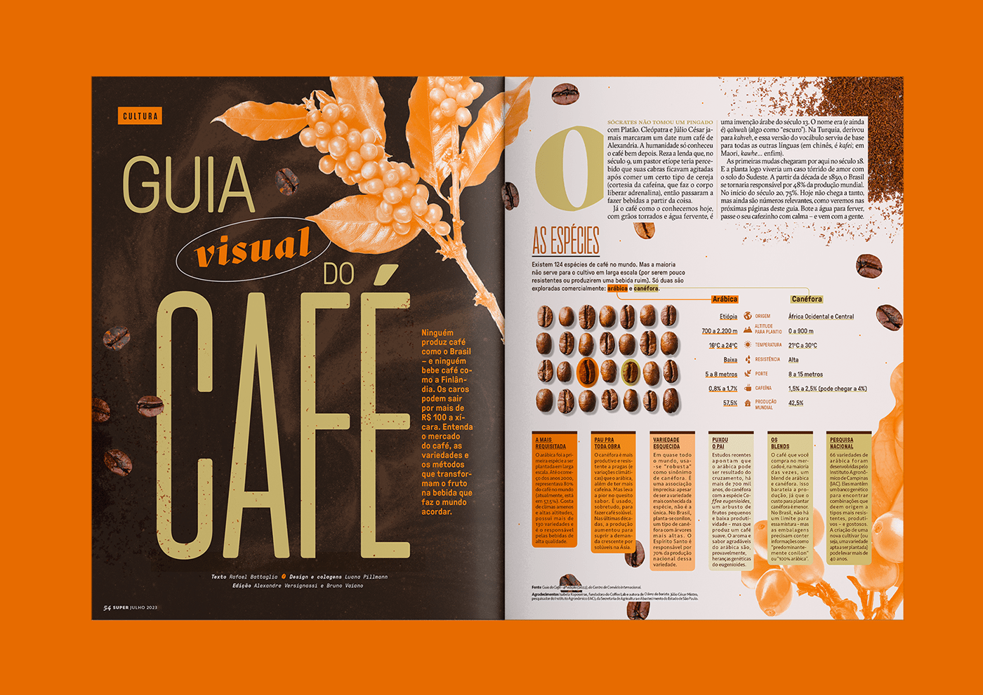 design editorial collage infographic magazine