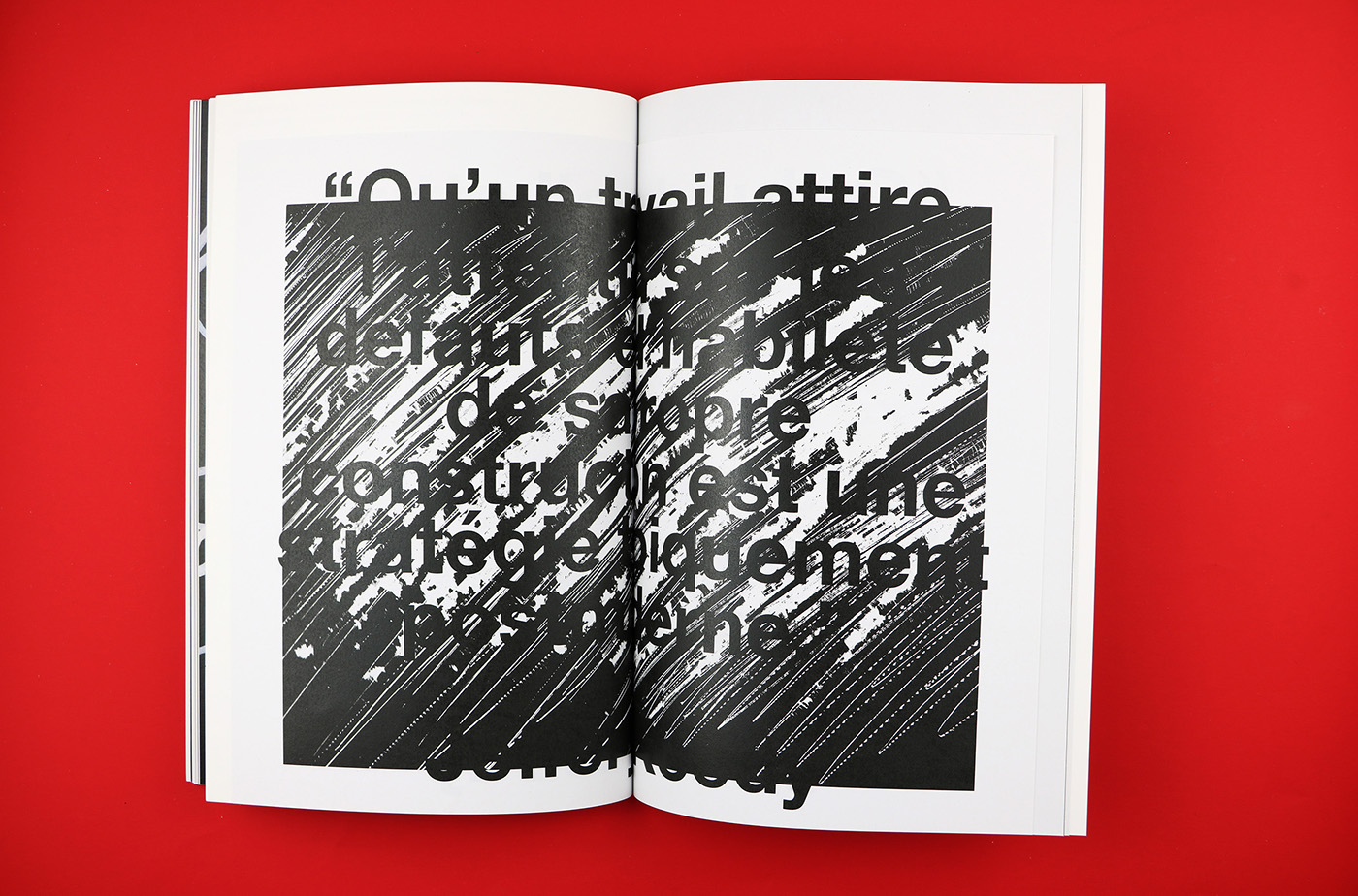 editoral design print modernism postmodernism Photography  typography  