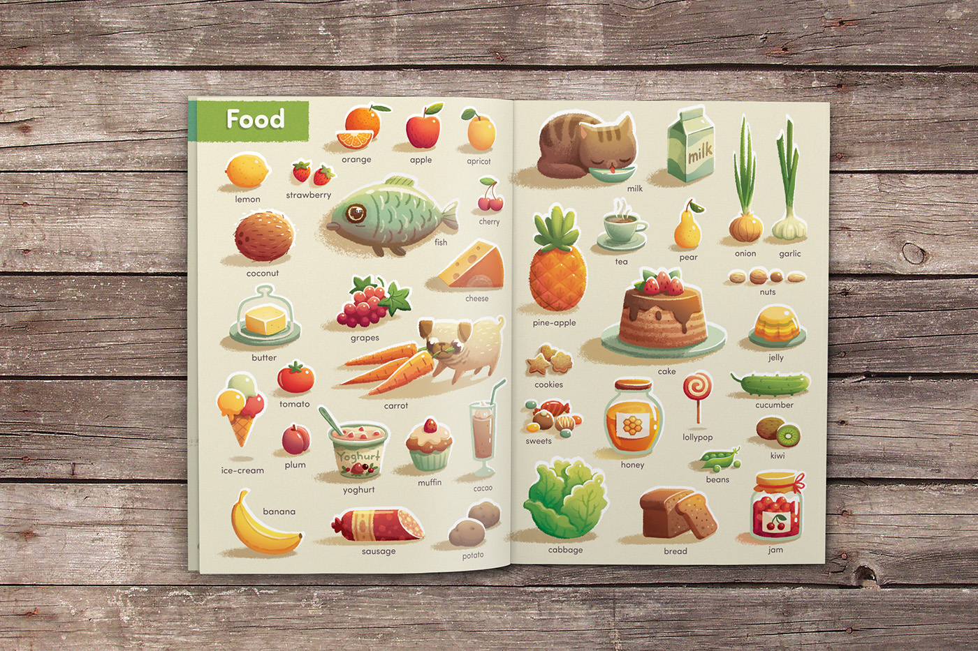 children's book book animals birds furniture kitchen bathroom garden Food  drinks Leon ant Plant Fruit vegetable