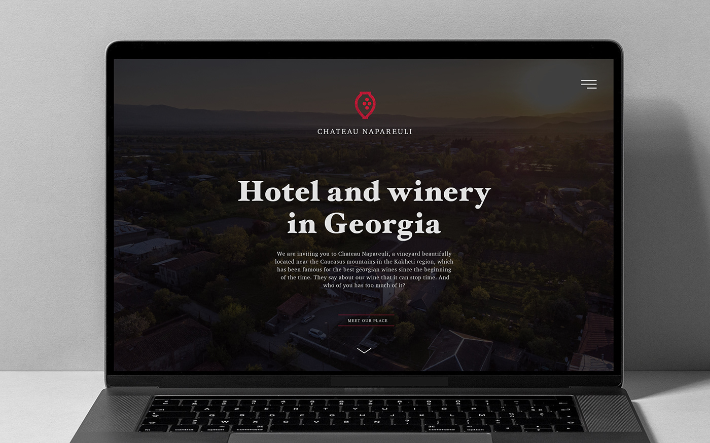 Georgia grapes Hotel Branding Landscape Logo Design moutains vineyard wine branding
