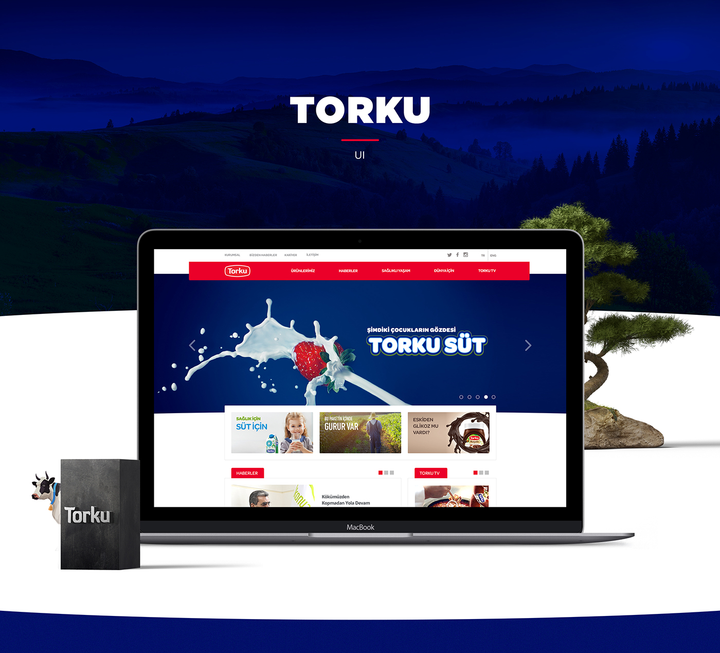 torku Turkey Web design UI ux flat Food  Global corporate frozen sugar Candies