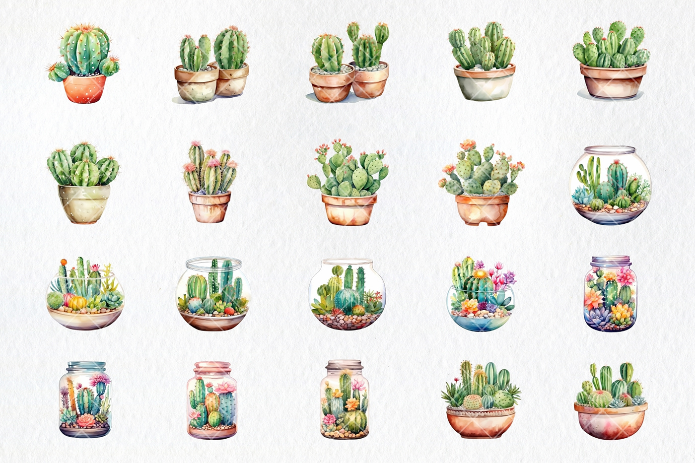 cactus plants botanical watercolor painting   Digital Art  Succulent clipart cute House Plants