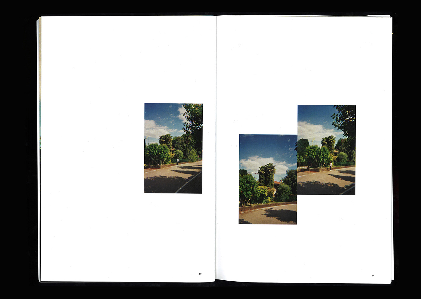 Photography  Landscape palms Nature Italy editorial design  Archive Collection