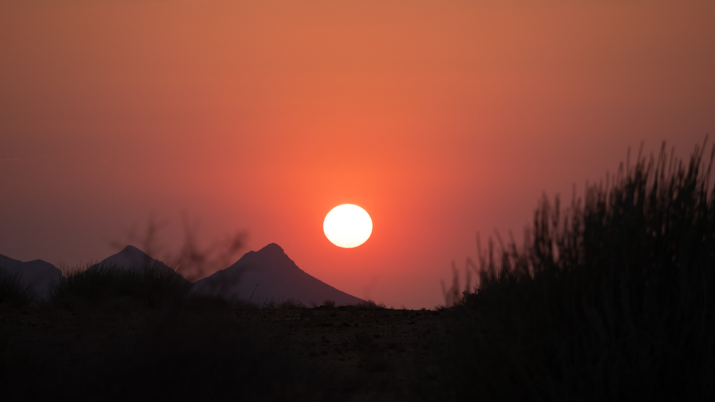 Namibia africa animals widllife sunset Nature humans Aerial elephants earth