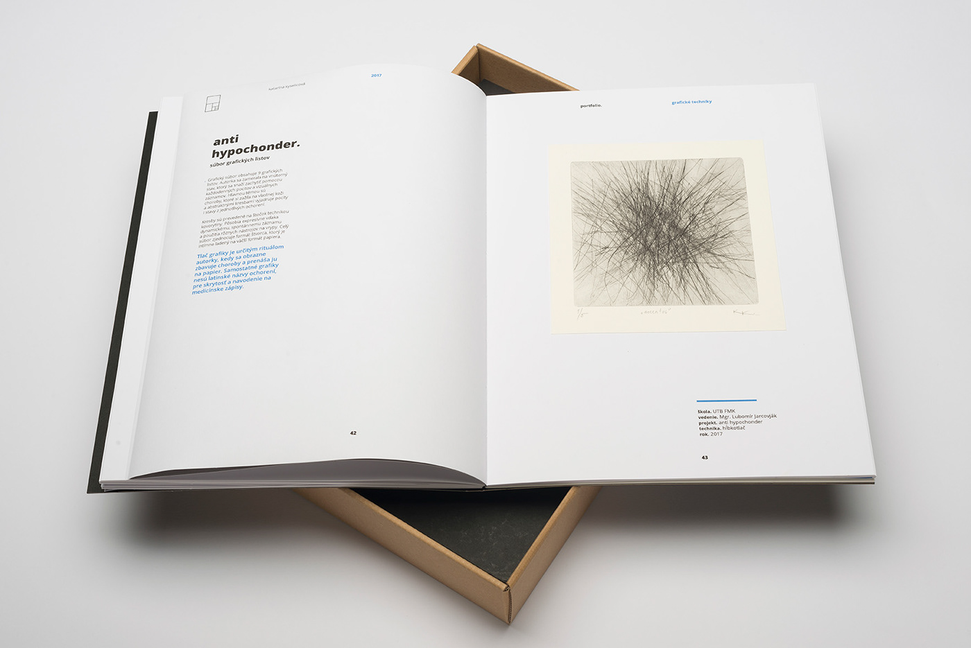 portfolio book design graphic design  Layout typography   package binding ILLUSTRATION 