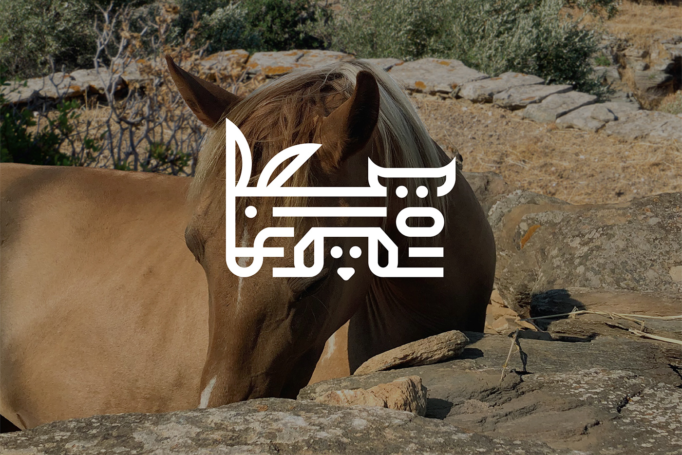animals brand identity federation Greece identity logo Logo Design Logotype pattern visual identity