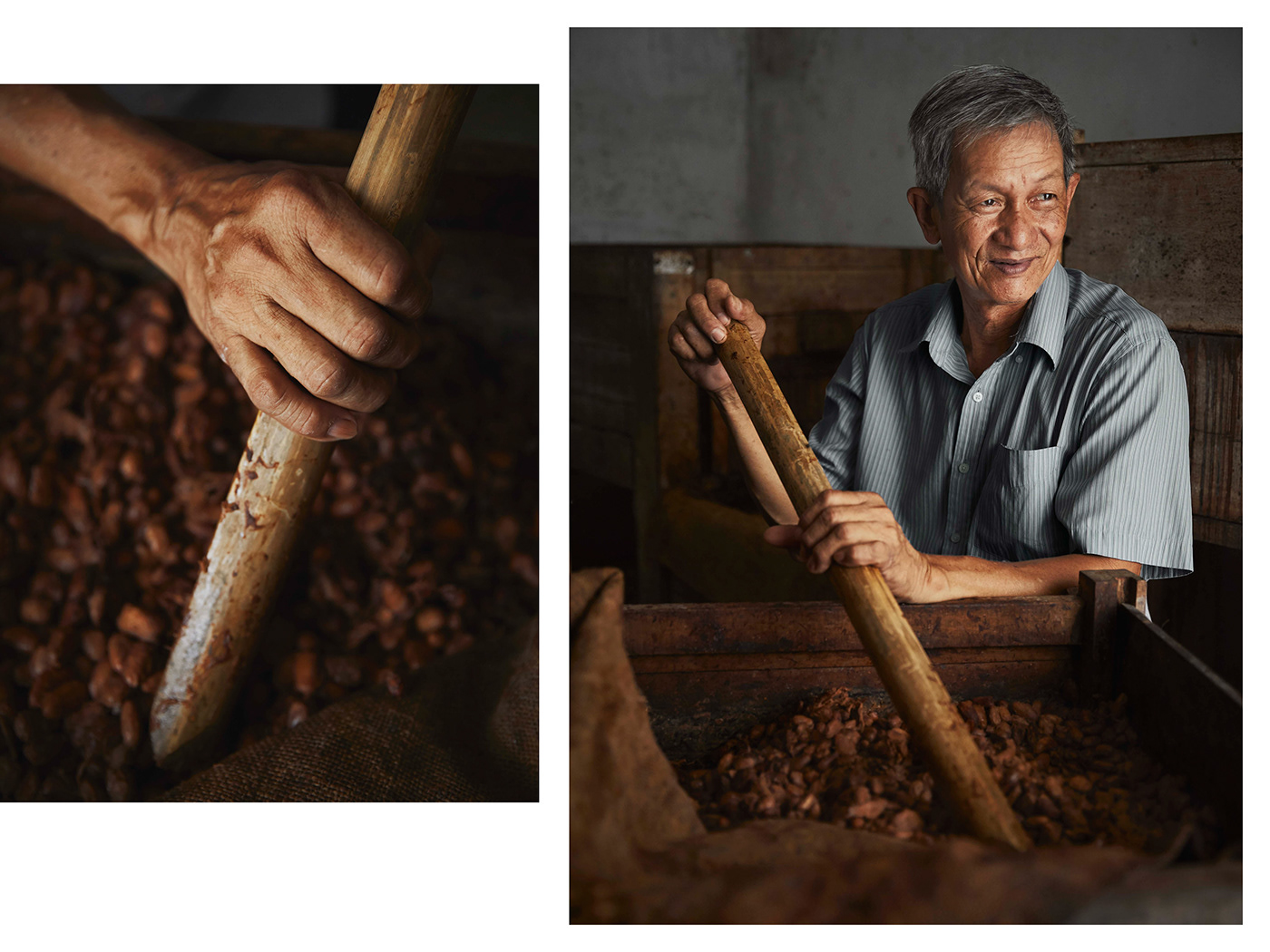 portrait Documentary  southeast asia vietnam chocolate product Food  cacao farm