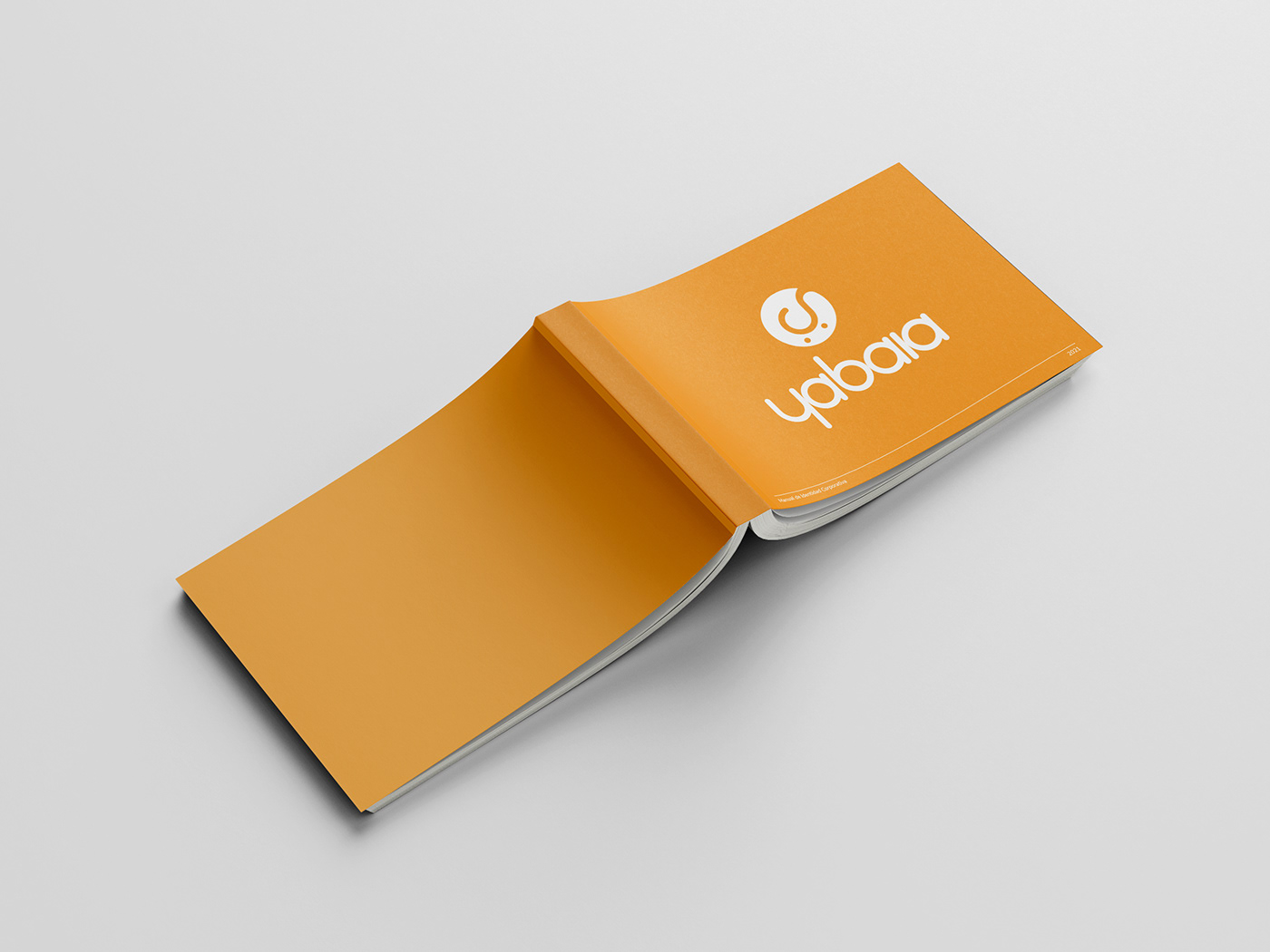 aplicacionesdemarca brand branding  identidad LOGISTICA logo manual manualdeidentidad marca yabaia
