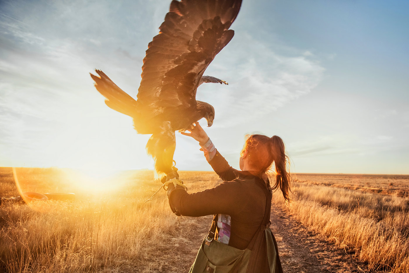 odd jobs short film Falconry inspiration human stories mongolia Golden Eagle conservation Nature buck the cubicle
