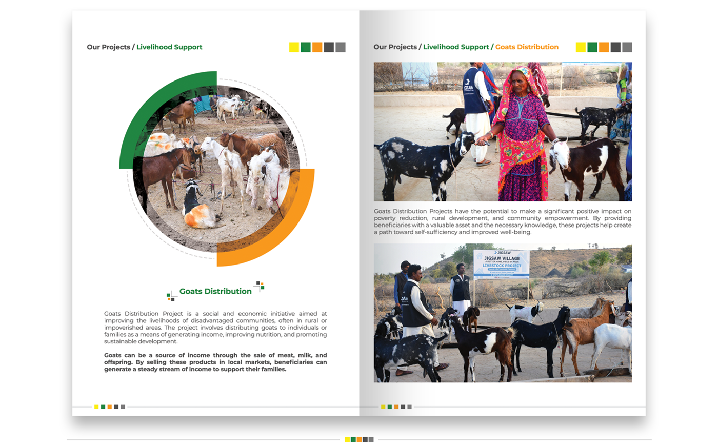 NGO sindh skills water Food  shelter magzine assistance Delelopment sdo