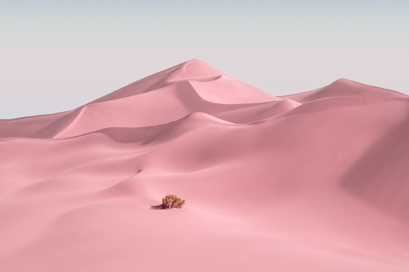 desert Magic Reality pink desert sand hill wallpaper 壁纸  粉色沙漠 魔幻现实 鸣沙山 Jonas daley