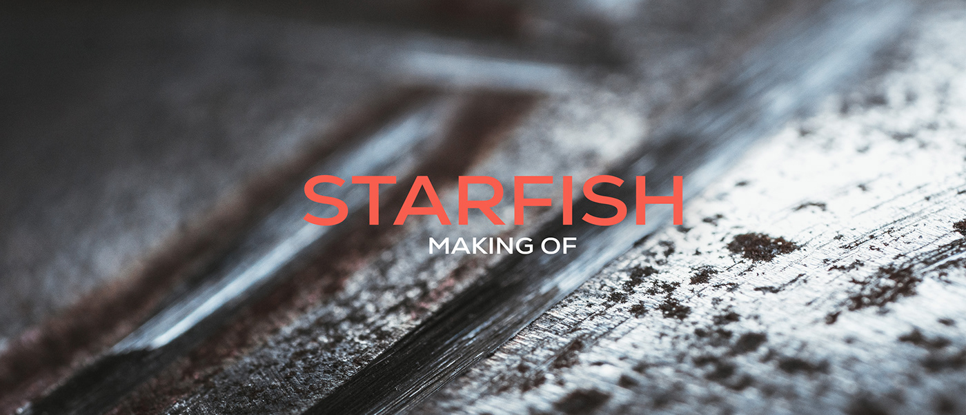 Photography  sculpture starfish