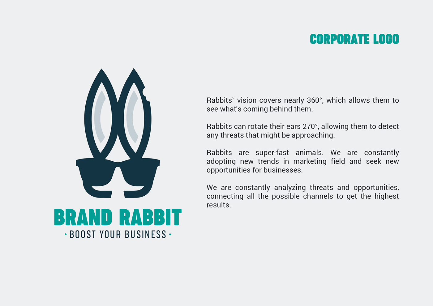 brandbook brand identity design designer graphic design  identity Logo Design business card t-shirt visual identity