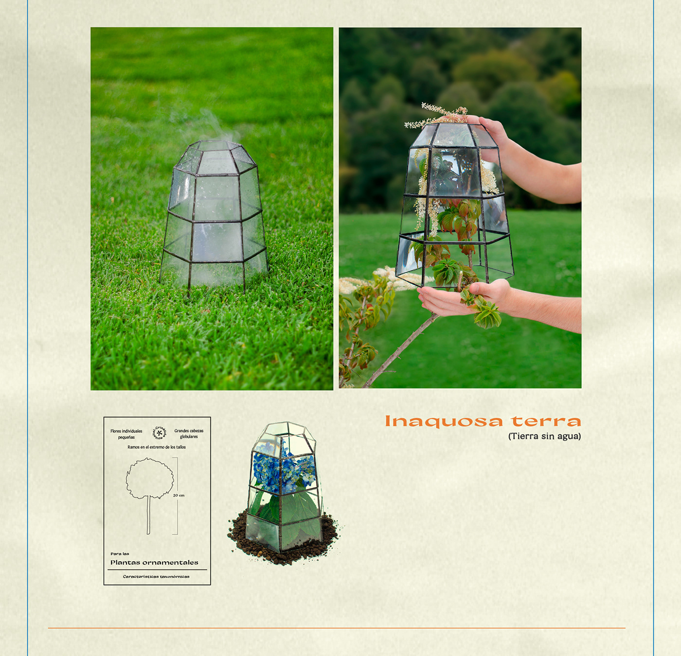 Biodesign garden design product design  stained glass terrarium ArqDisUniandes SOMOSARQDIS