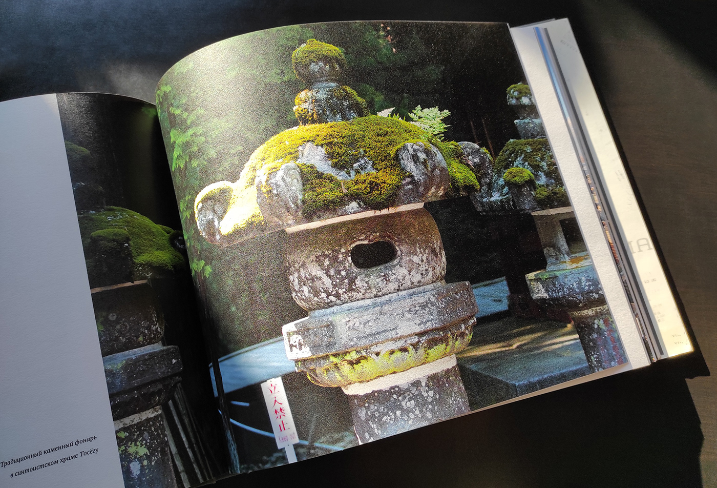 book book design japan Japan book  photo book photobook Travel Travel book photo travel photography