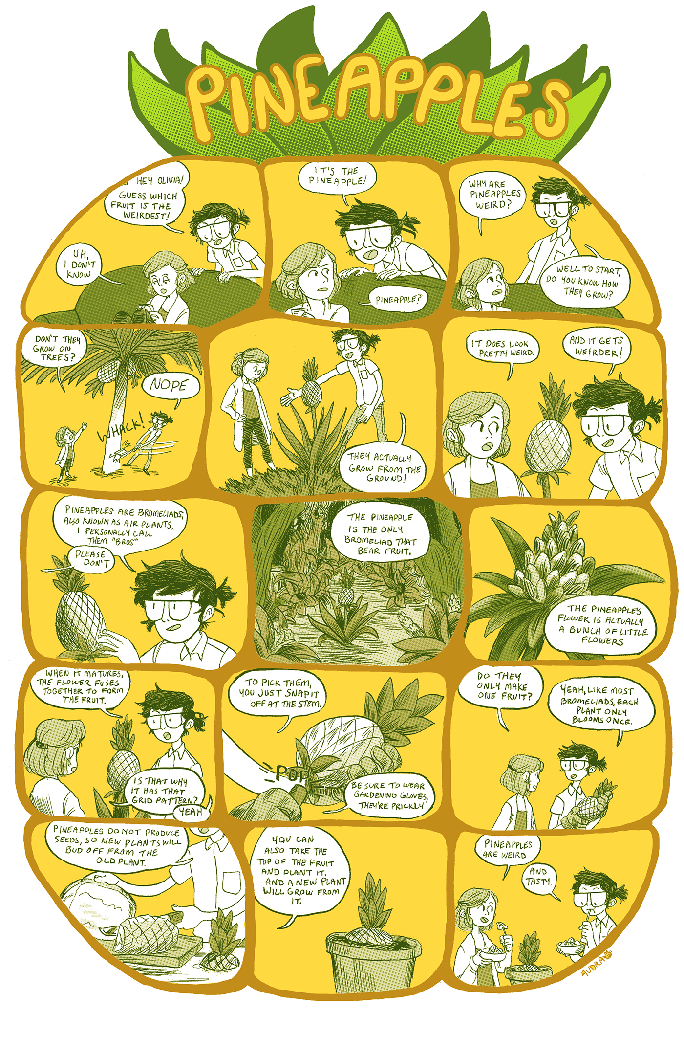 comics Pineapple Fruit educational infographic