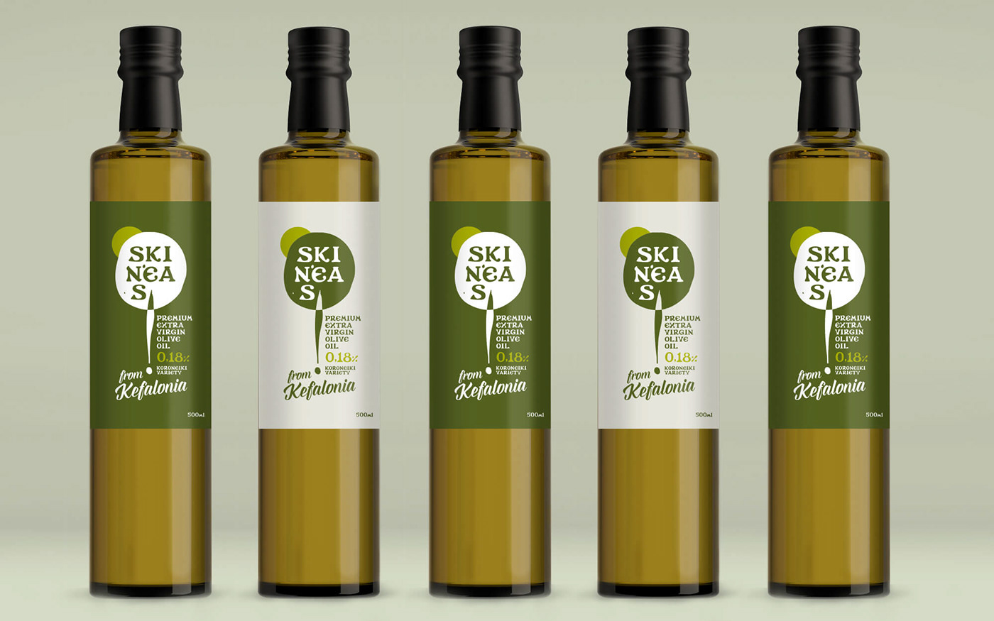 bottle Food  Greece greek green Olive Oil olive tree sophiagdotcom Sun tin