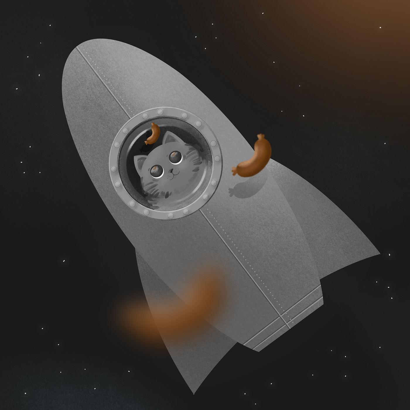Cat sausages Space  space rocket