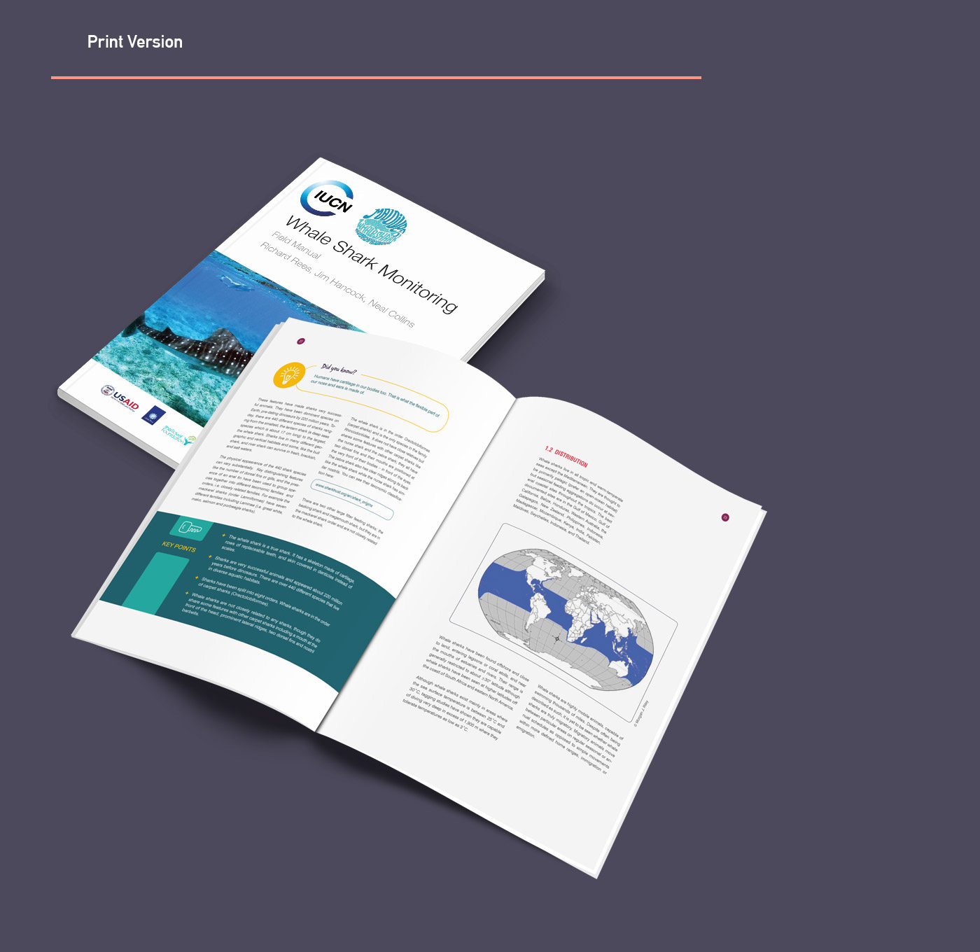 whale shark Maldives manual shinaz Interactive PDF iBook kindle report Layout publishing  