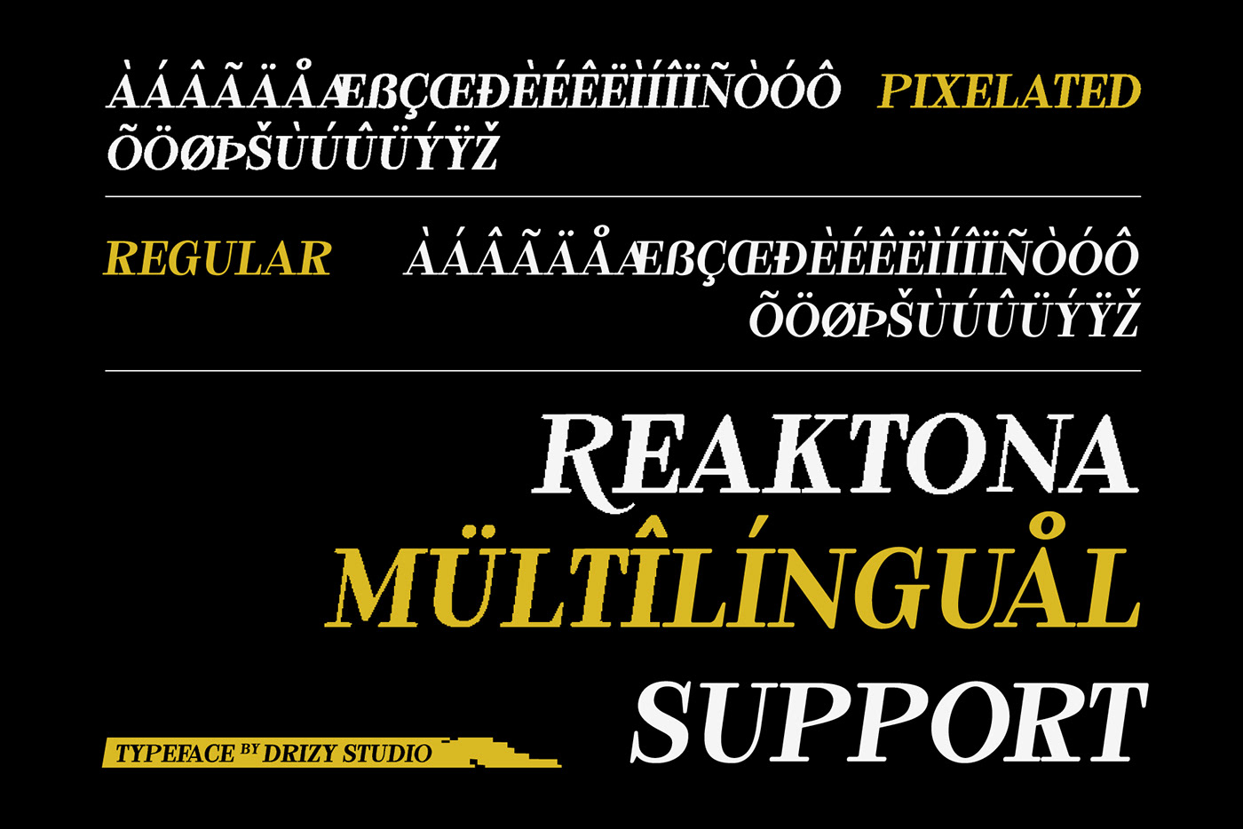 Reaktona – Pixel Slanted Serif Font