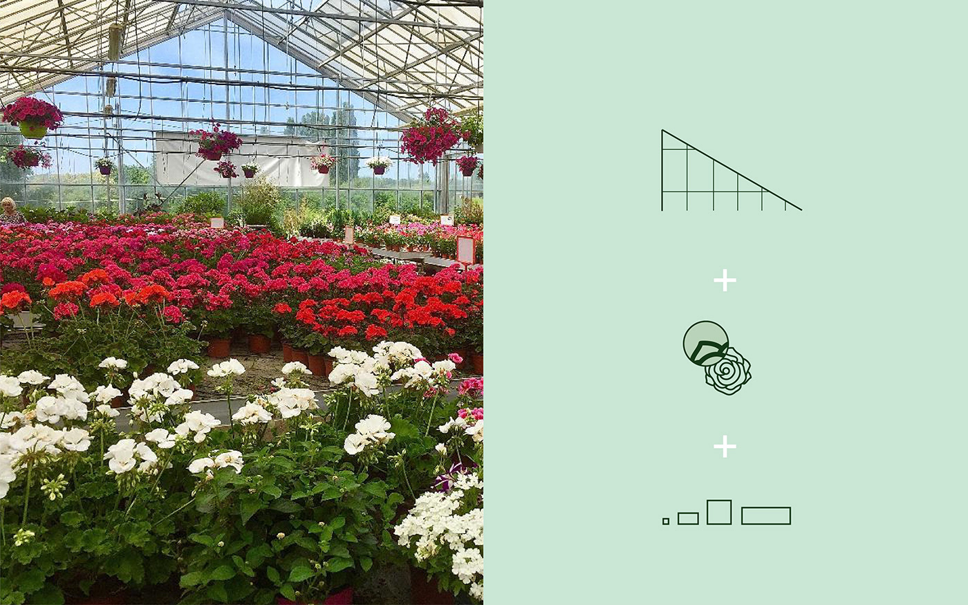 branding  rebranding greenhouse flower plants green Adaptable identity logo coloredpaper