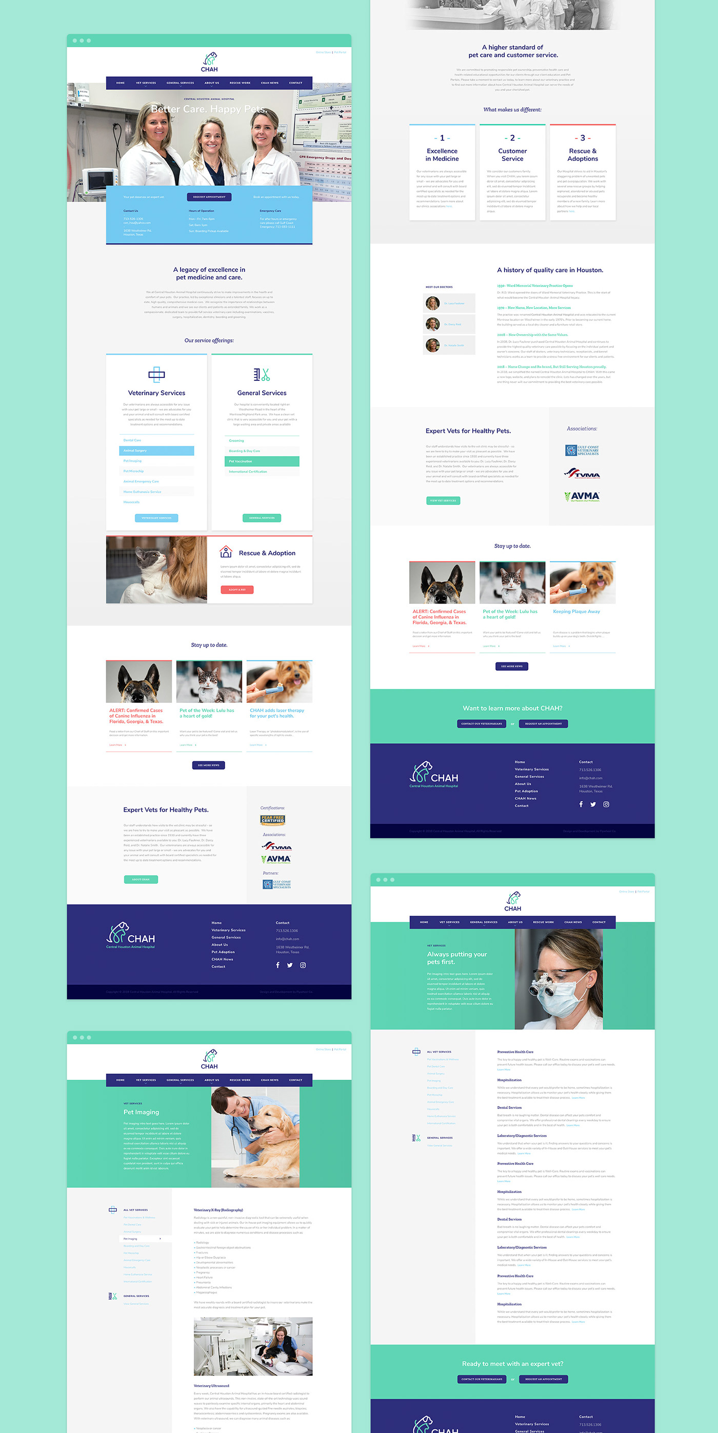 branding  identity logo Website design veterinarian animals