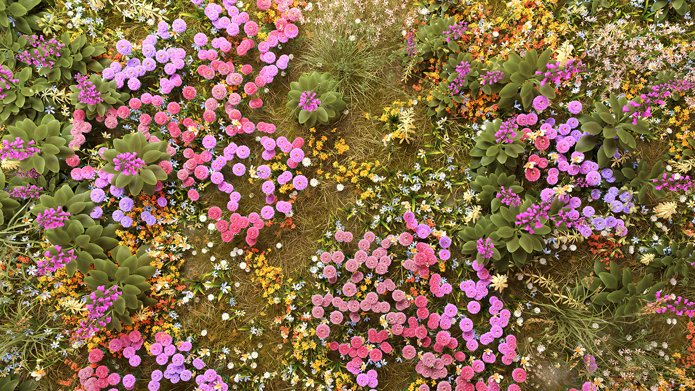 blooming flower Natural Light Nature plant flourish warm light Flora 3D Render motion graphics 