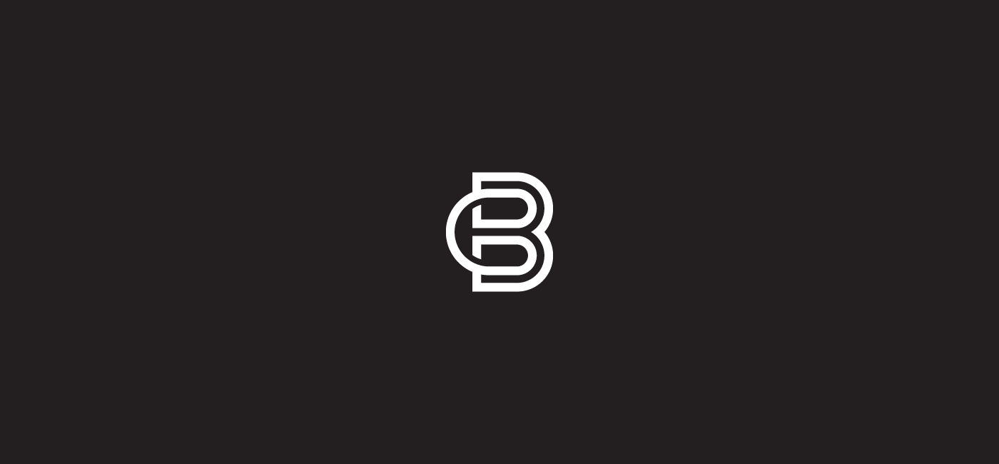 logo Logotype identity branding  mark logos type typography   brand identity UI