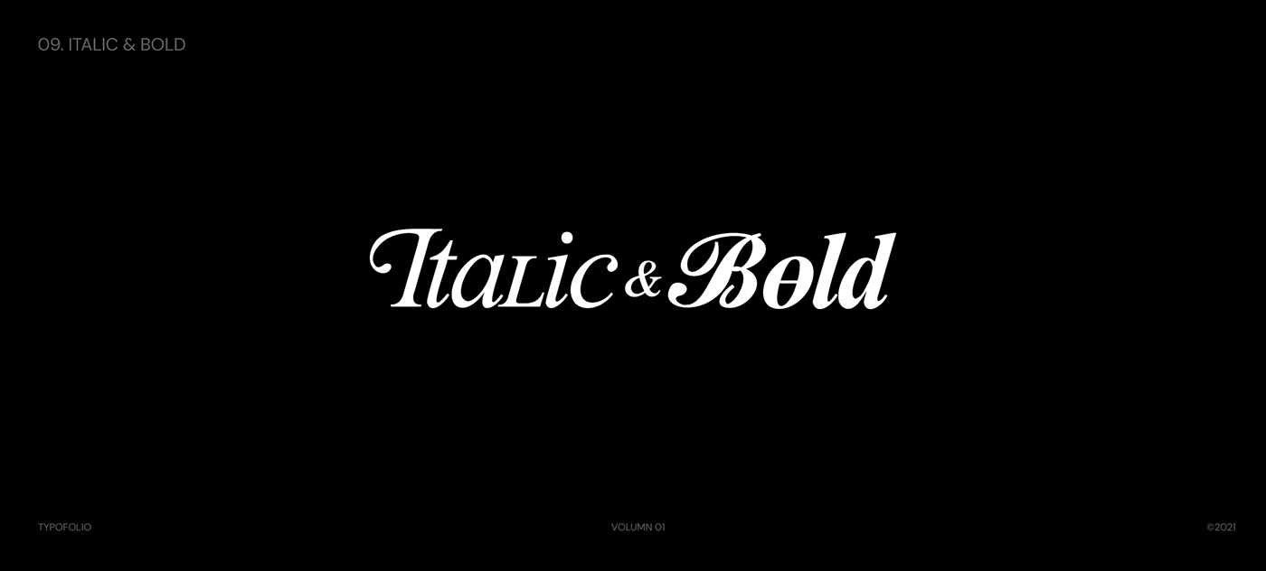 adobe illustrator design font graphic design  lettering logo Logotype type typography   vector