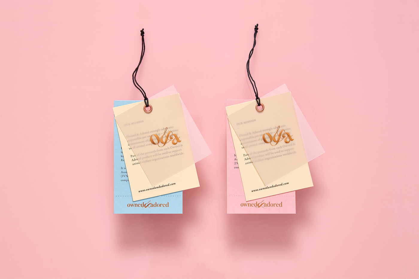 Anagrama anagramastudio mexico design branding  Pet Packaging collars identity pink