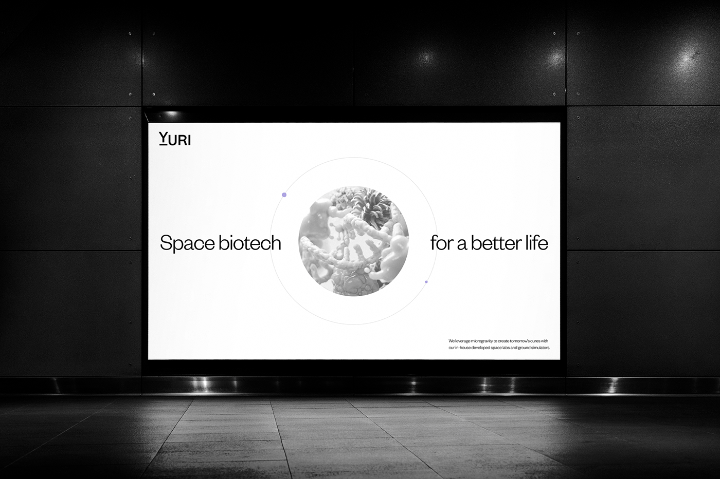 biology biotech brand identity branding Figma Logo Design rocket science Space UI/UX