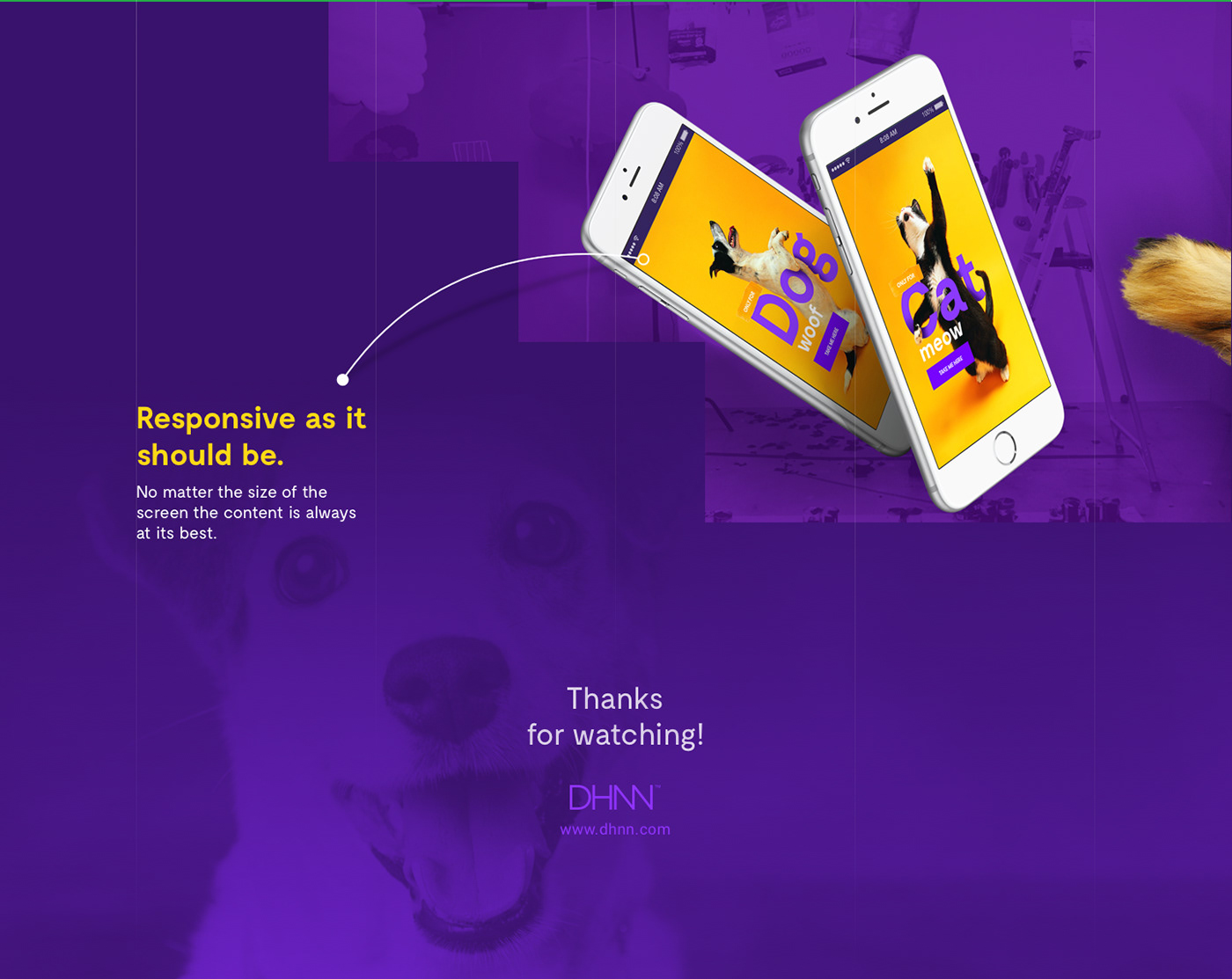 app dhnn digital dog e-commerce mobile pets Responsive UI ux