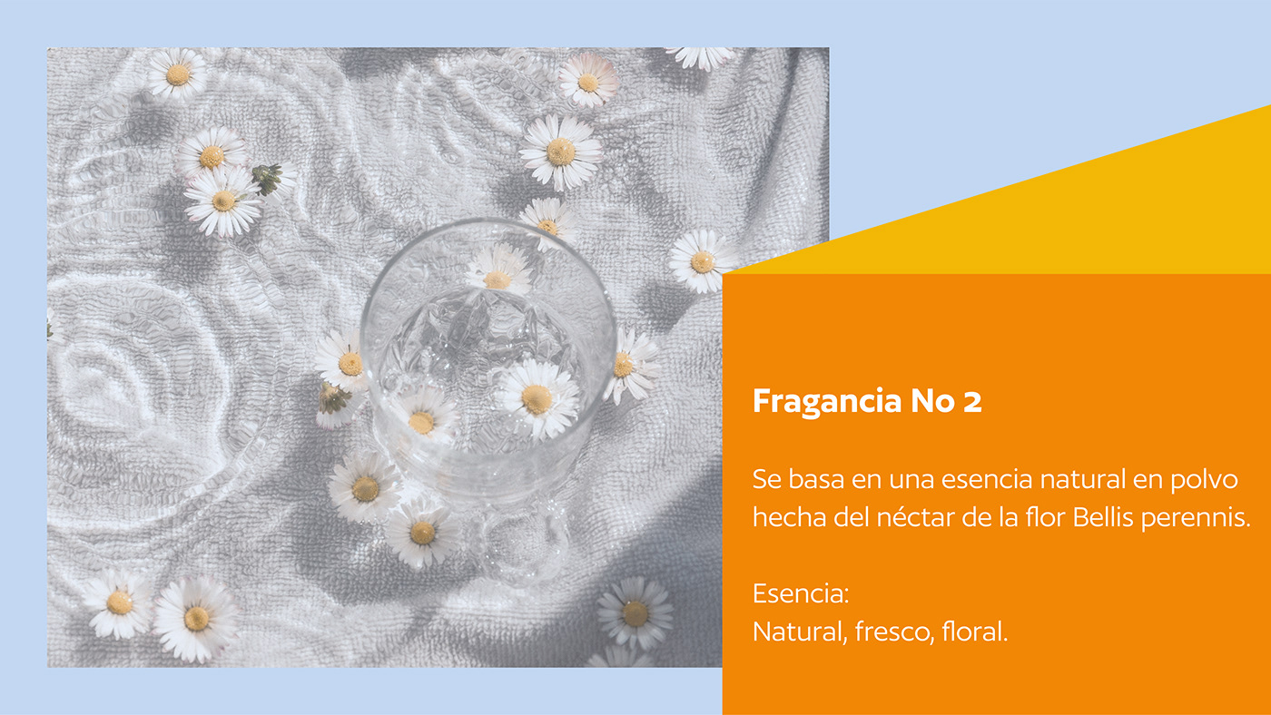 design diseño gráfico concept conceptual perfume Packaging product design  fragance fragancia