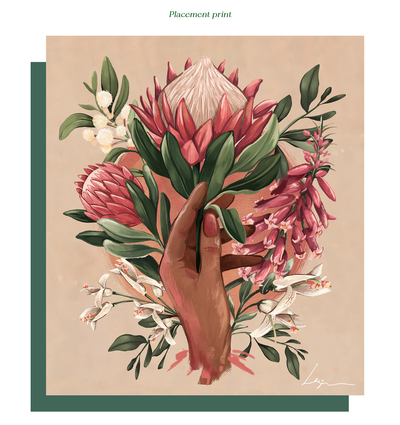 Australia botanical Estampa Flora ILLUSTRATION  Nature pattern print protea surface design