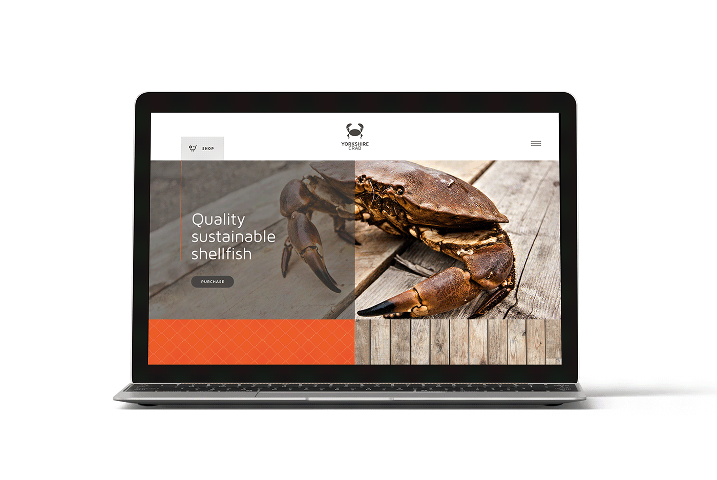 brand identity  branding logo texture fishing seafood shellfish yorkshire orange Sustainable Stationery Website identity