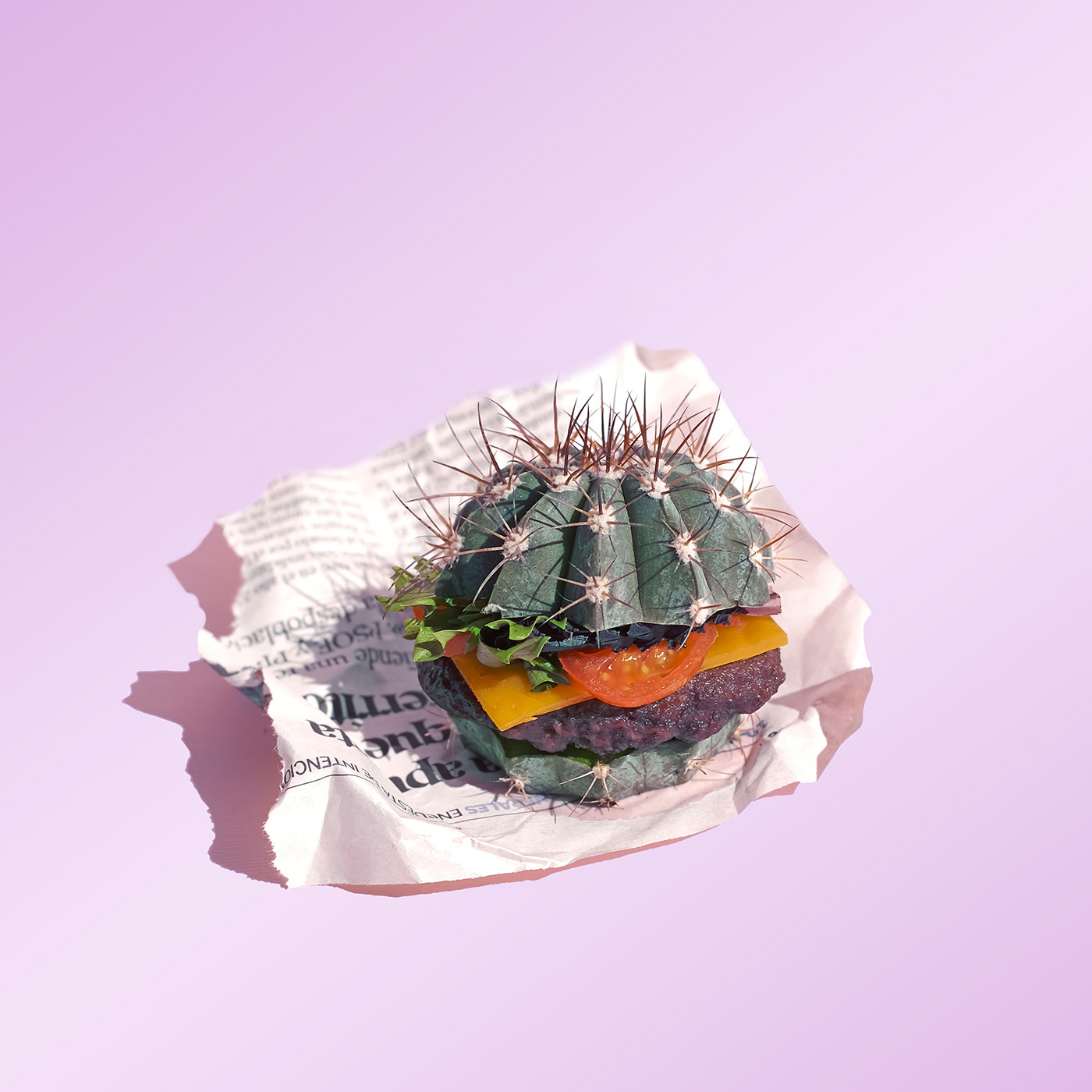 burguer cactus food styling Fotografia hamburguer Hamburguesa Juepincho Photography  plants vegan